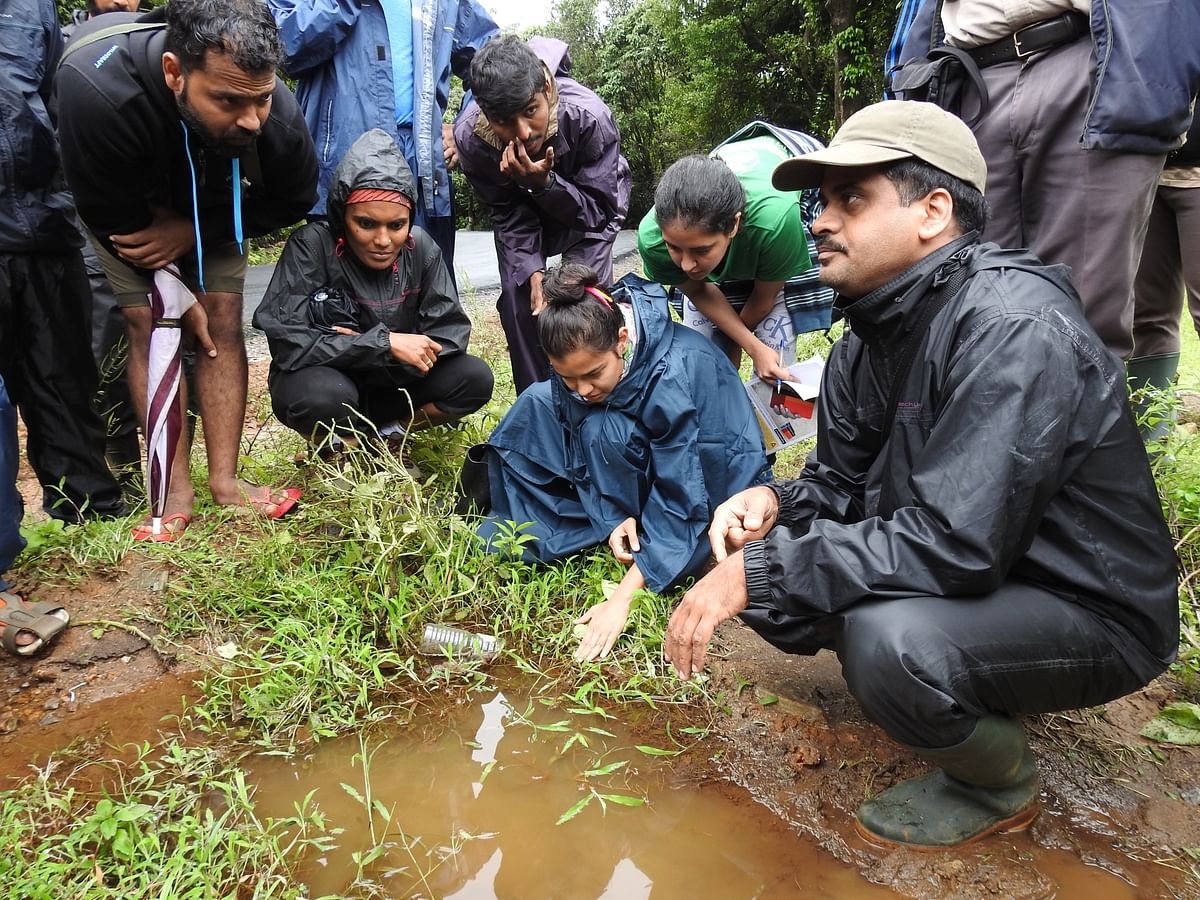 Batrachologist Gururaja K V talks to citizen scientists in the field. 
