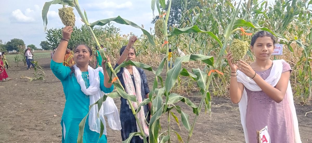 Schoolchildren visit the Jowar Diversity Block to learn about the initiative. 