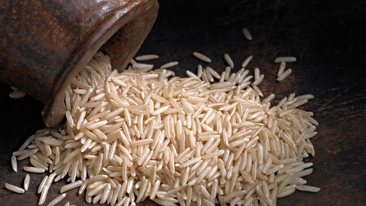 India inks deal to export 500,000 tons of new season basmati rice