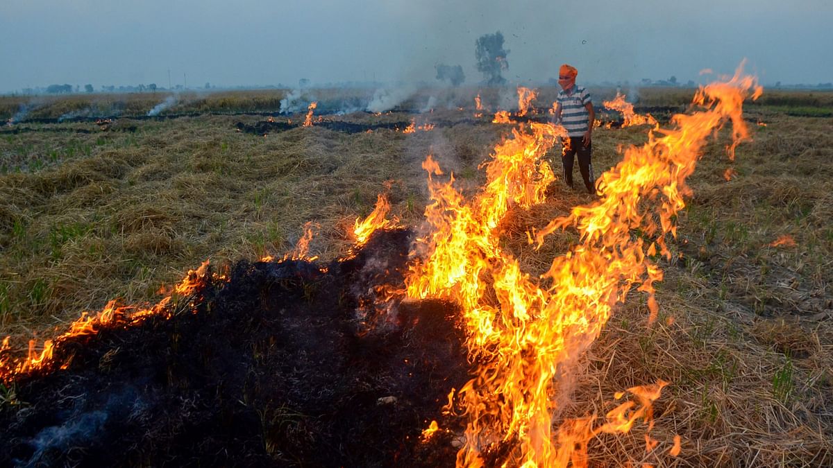 Farm fires should stop, take long term measures: SC to Centre, states on air pollution in Delhi