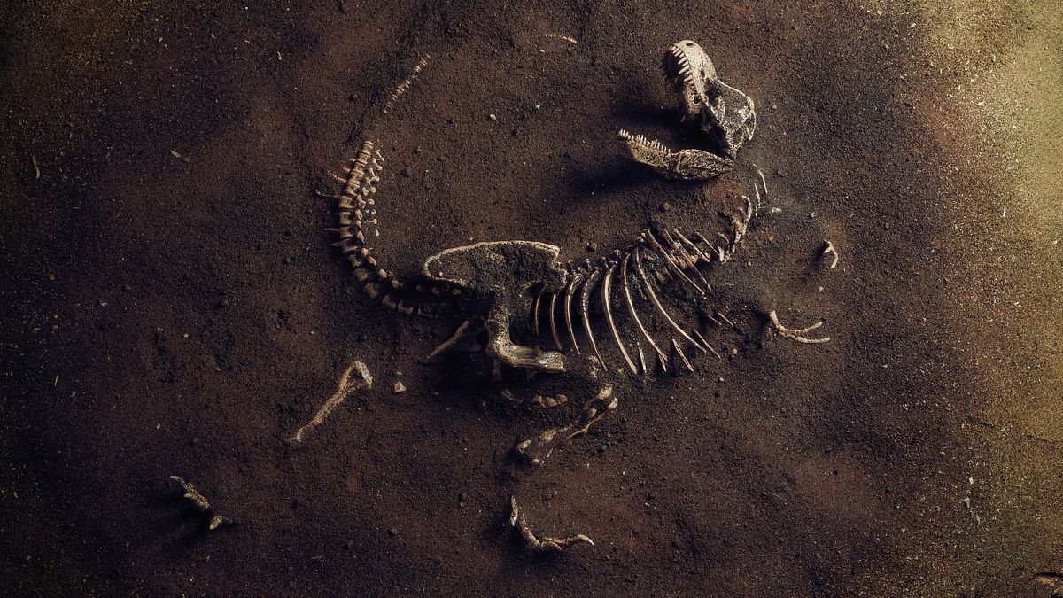 How dust wiped out dinosaurs