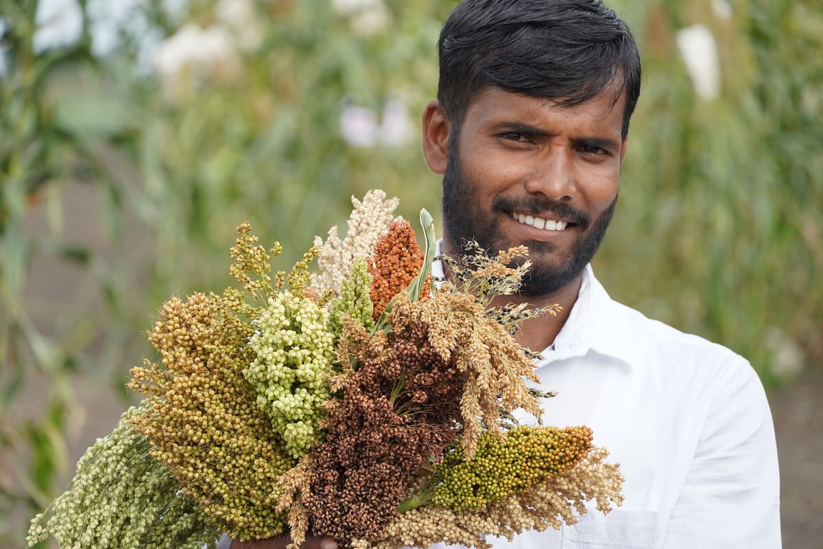 Farmer Praveen Hebballi with the various indigenous varieties of jowar. 