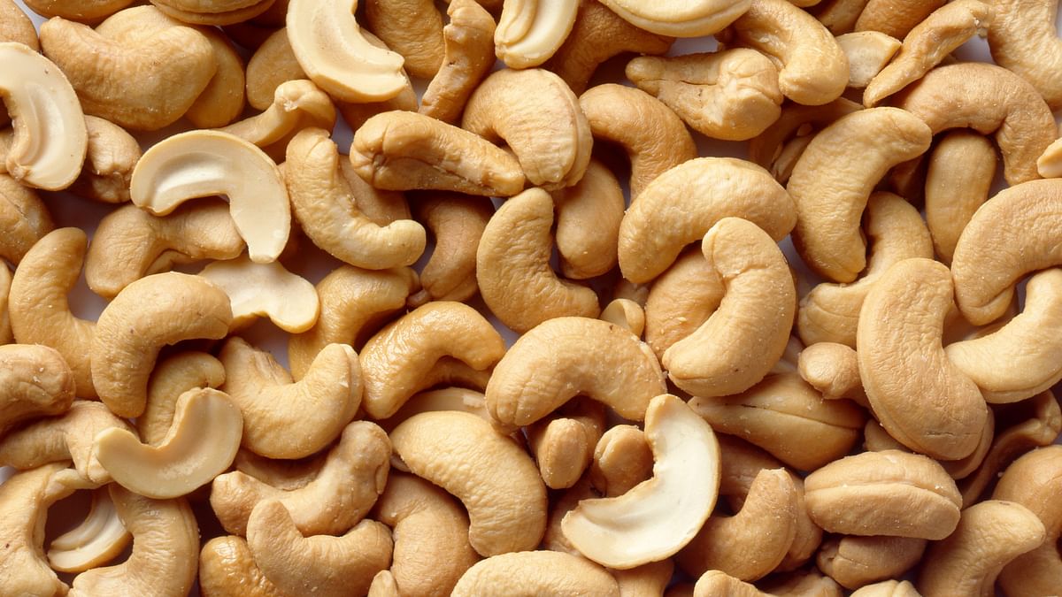 Cashew worth Rs 1.2 cr diverted en route from Karnataka to Gujarat; part recovery in Maharashtra