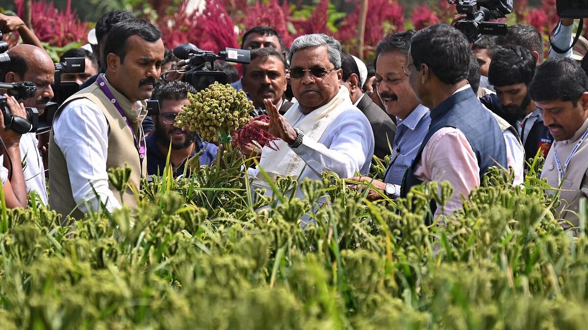 First day of Krishi Mela sees a footfall of 1.31 lakh