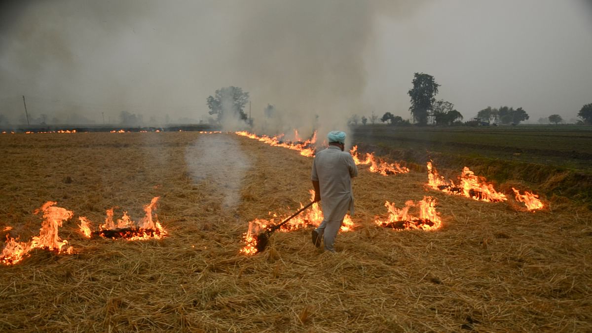 Air Pollution: Union Govt to send Flying Squads to Punjab to check crop burning