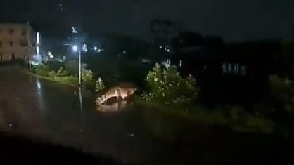 Cyclone Michaung: 'Mugger' crocodile spotted on road near Chennai as heavy rains lash city, adjoining areas