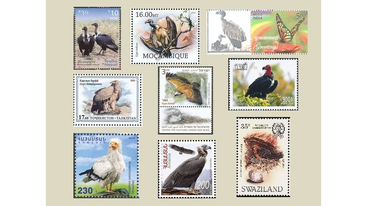Study finds scope to display vulture species in stamps 