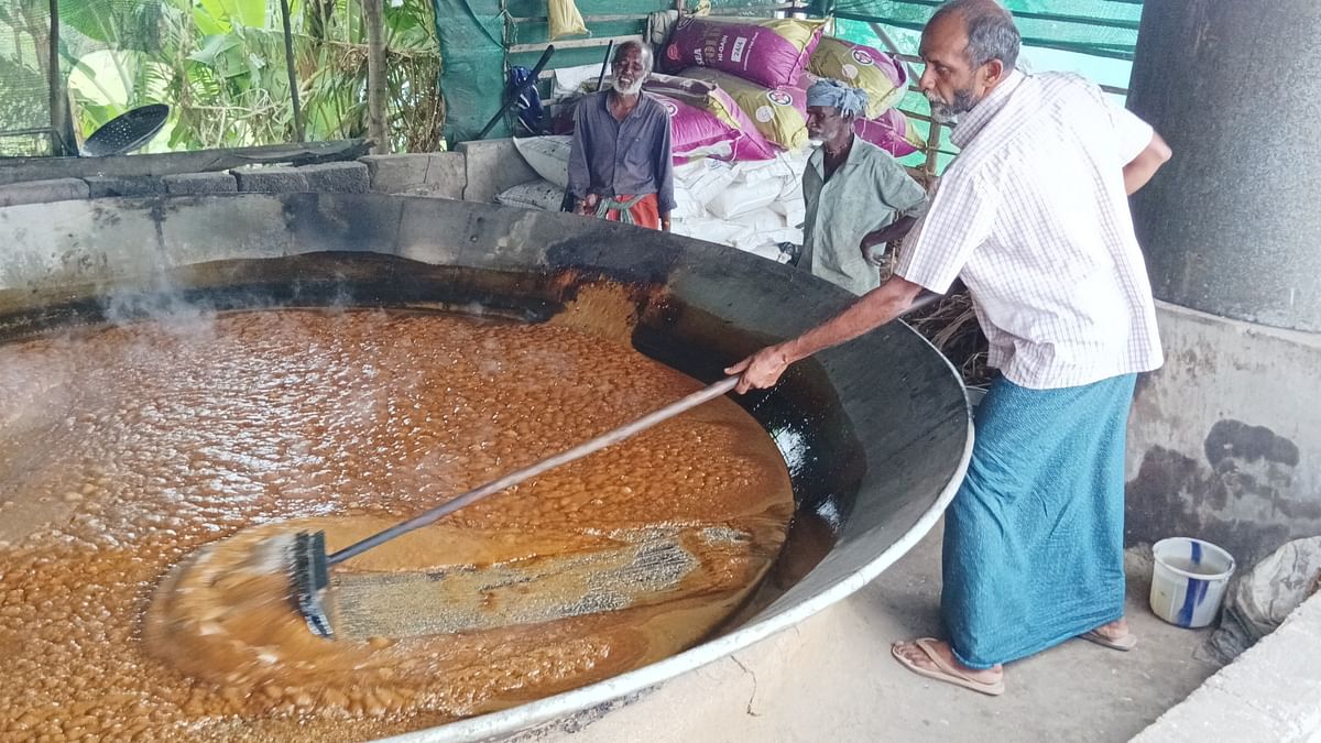 Spurious products pose threat to Kerala's GI tagged Marayoor jaggery 