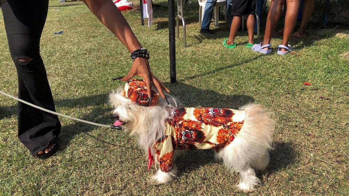 Dogs go for the traditional look at Lagos canine festival