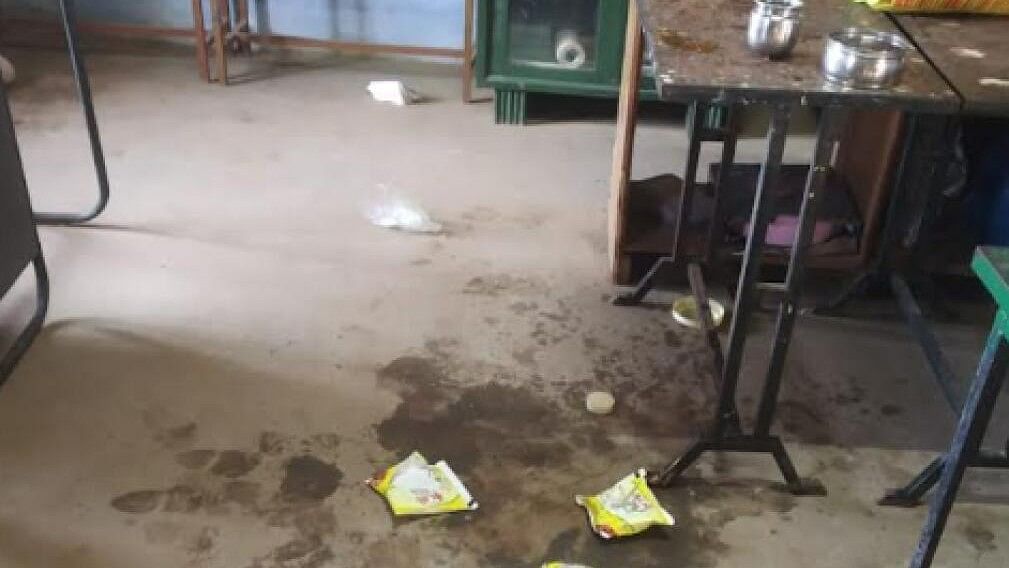 Bear barges into classroom in Karnataka village; savours food, destroys furniture
