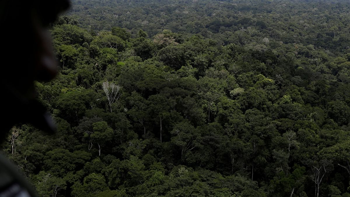 Brazil launches $204 million drive to restore Amazon rainforest