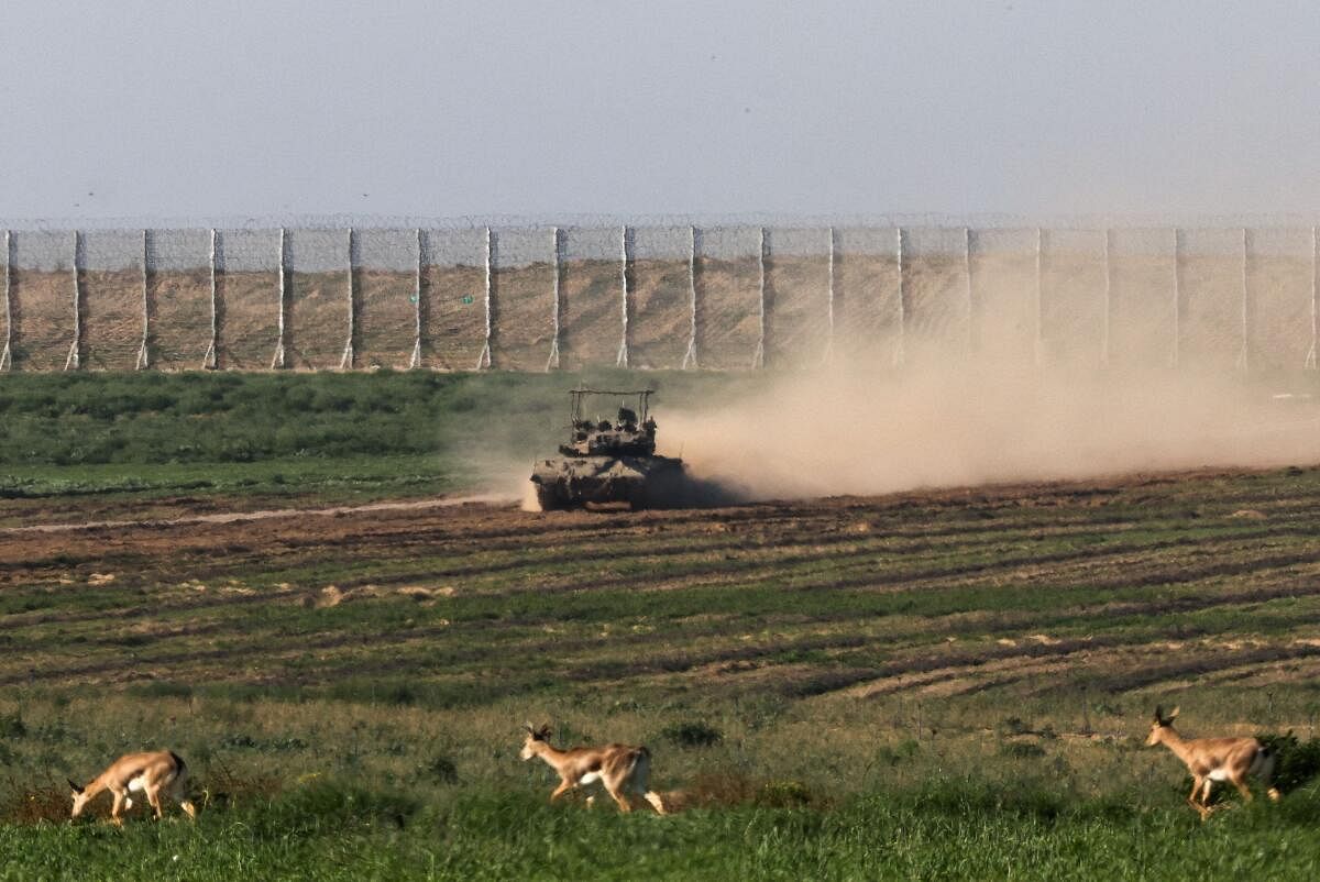 Gazelles walk, as an Israeli army tank manoeuvres near the Israel-Gaza border, amid the ongoing conflict between Israel and the Palestinian Islamist group Hamas, as seen from Israel, December 29, 2023. 