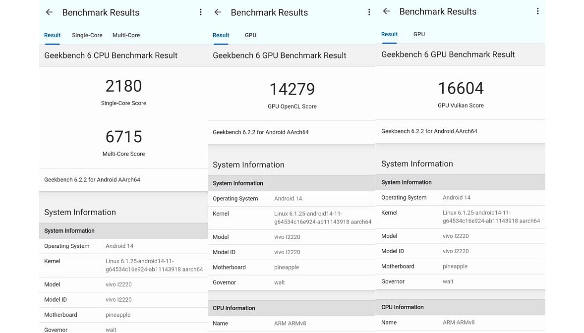 iQOO 12's CPU and GPU performance score on Geekbench app.