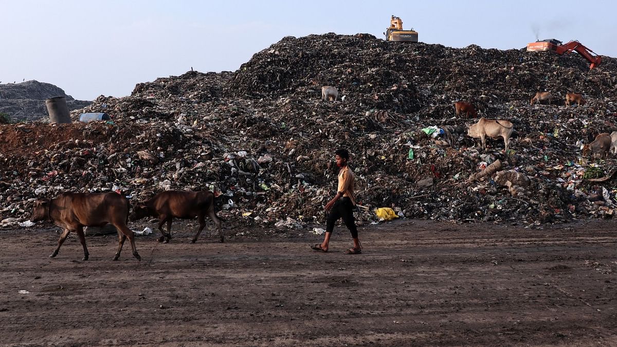 Bengaluru’s waste crisis threatens livelihoods: NGO