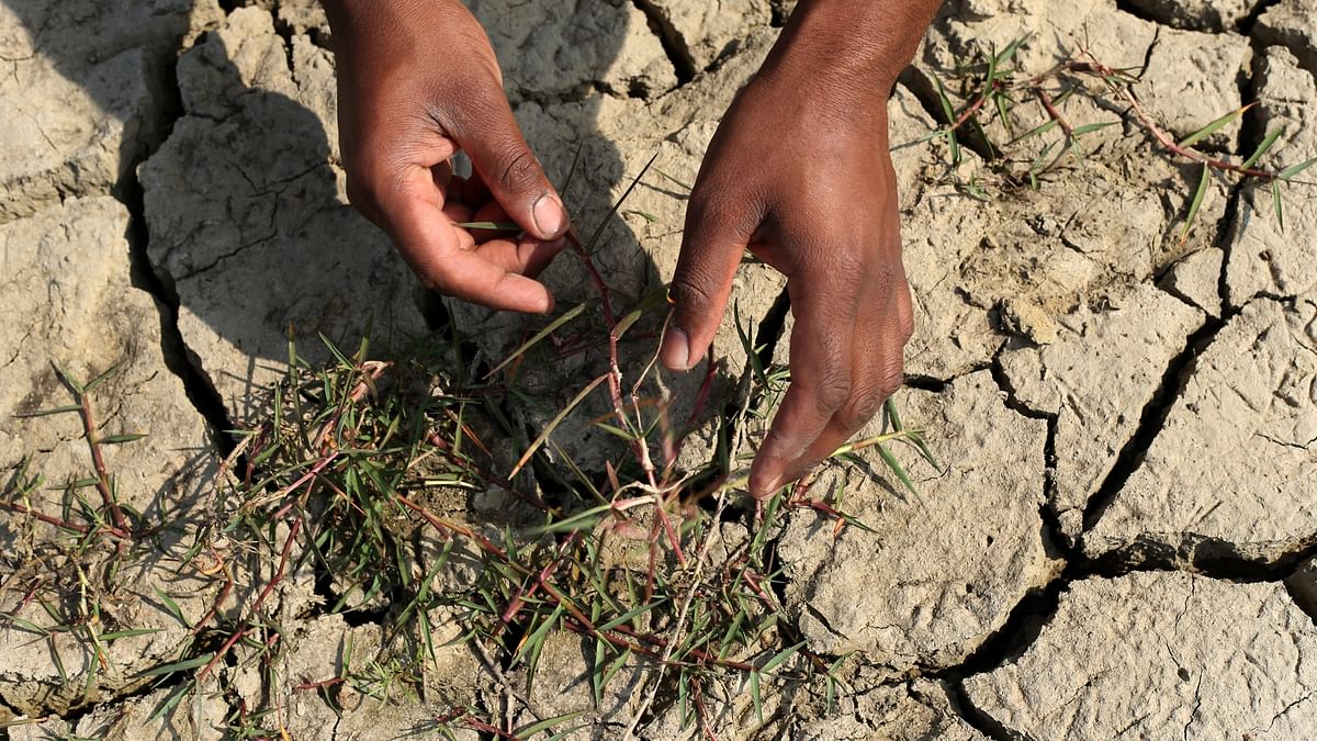 Karnataka drought loss at Rs 35k cr, govt begins mitigation work