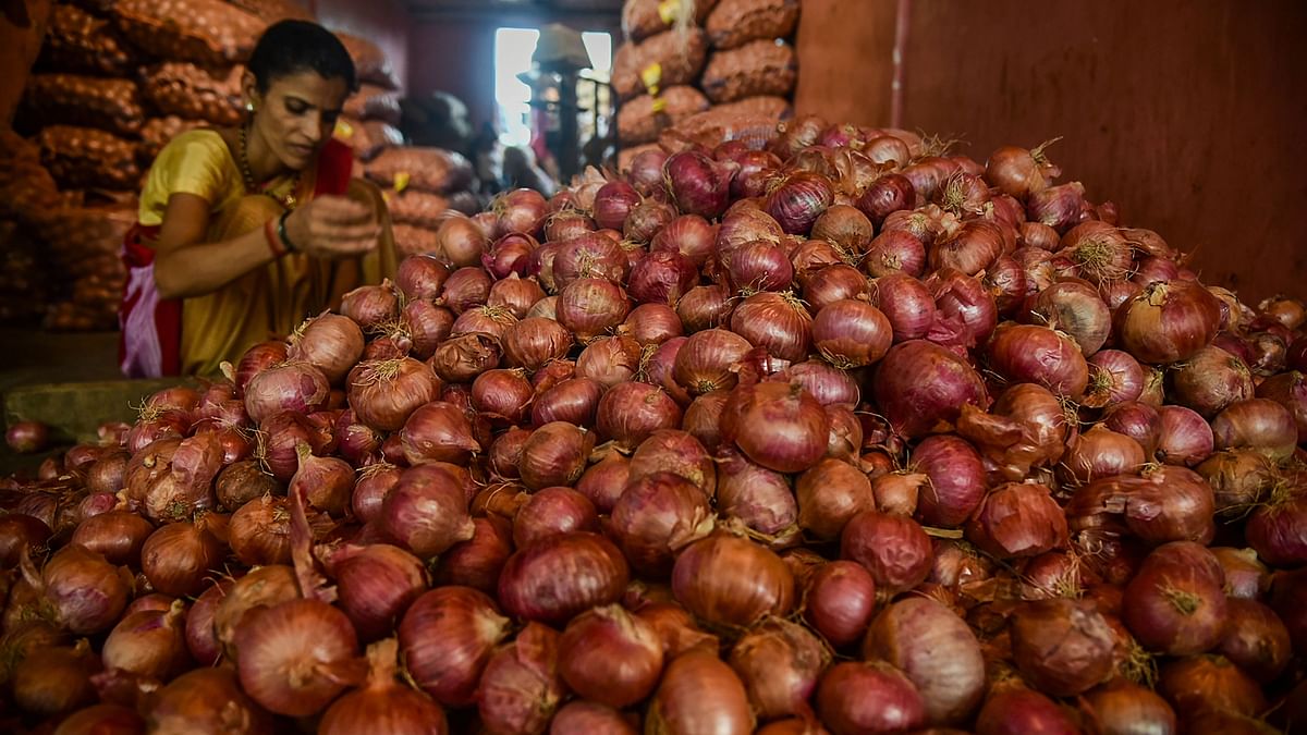 Onion farmers protest on Mumbai-Agra Highway over Modi govt ban on exports