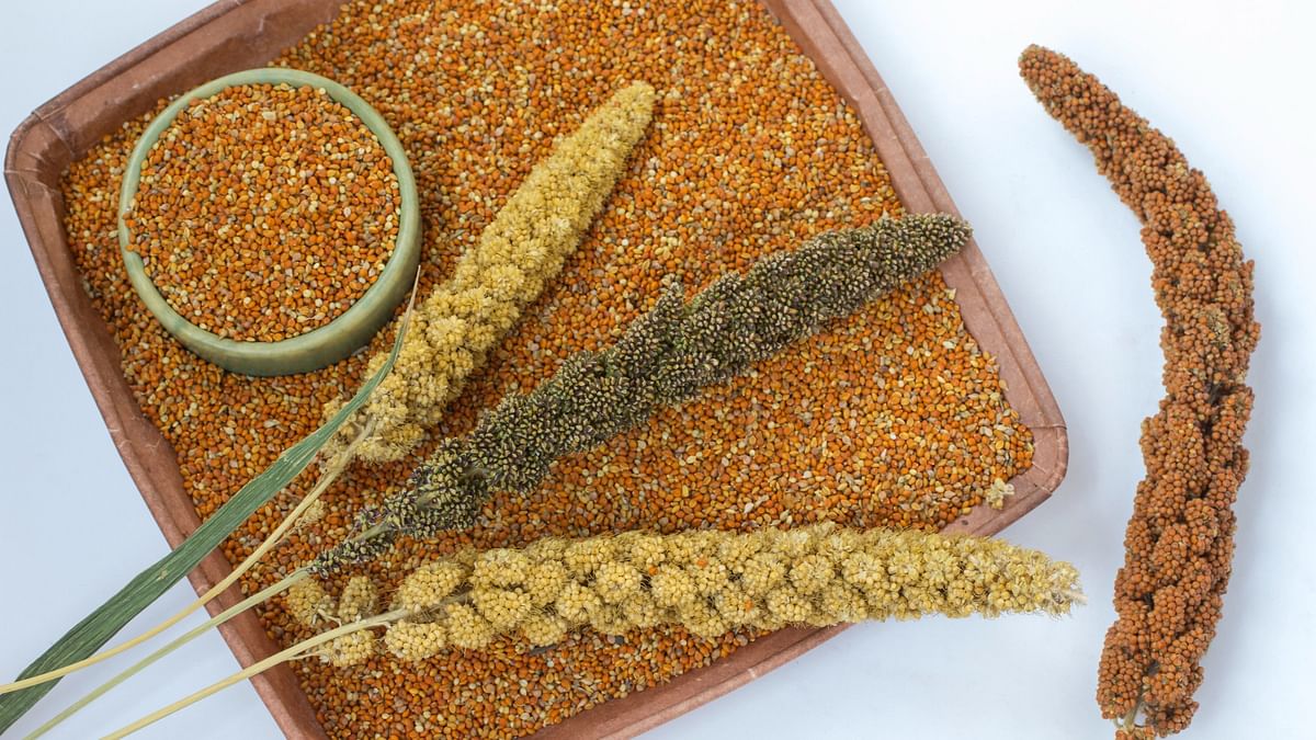 30 companies taking advantage of PLI scheme to make millet-based products, govt says