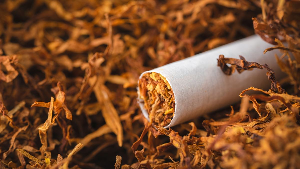 Maharashtra affected by tobacco menace
