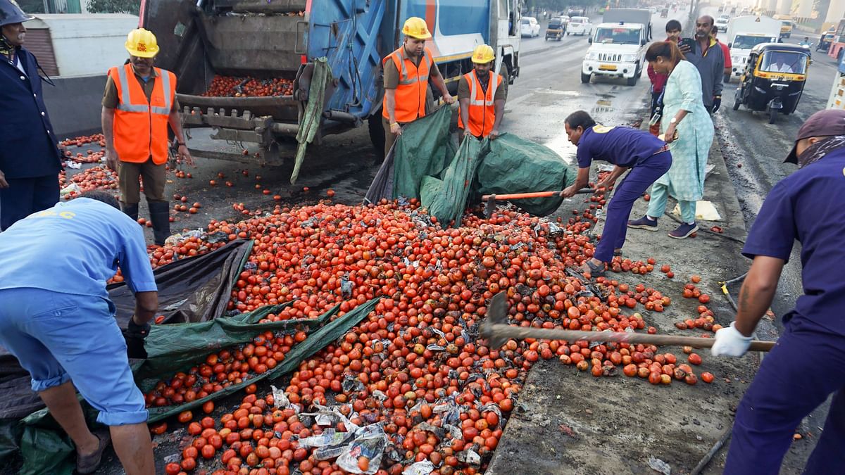 Tomato-laden truck overturns in Maharashtra's Thane, traffic comes to a grinding halt for 5 hours