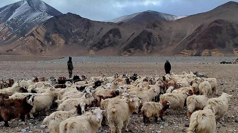 Nomads’ triumph: PLA troops forced to flee Eastern Ladakh