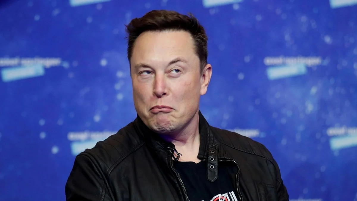 Social security & sex robots: Elon Musk veers off script with Joe Rogan