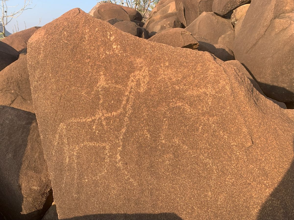 Inscriptions on the Dolerite dyke formations in Pavagada; (top) an inscription of a wild cat; (above) Pulikonda hill Pavagada. Photos by author