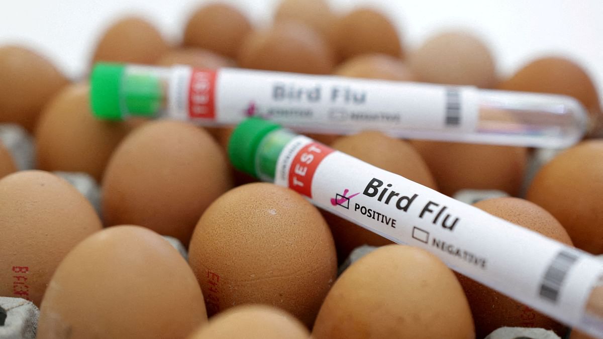 China reports death of woman from combined H3N2, H10N5 bird flu