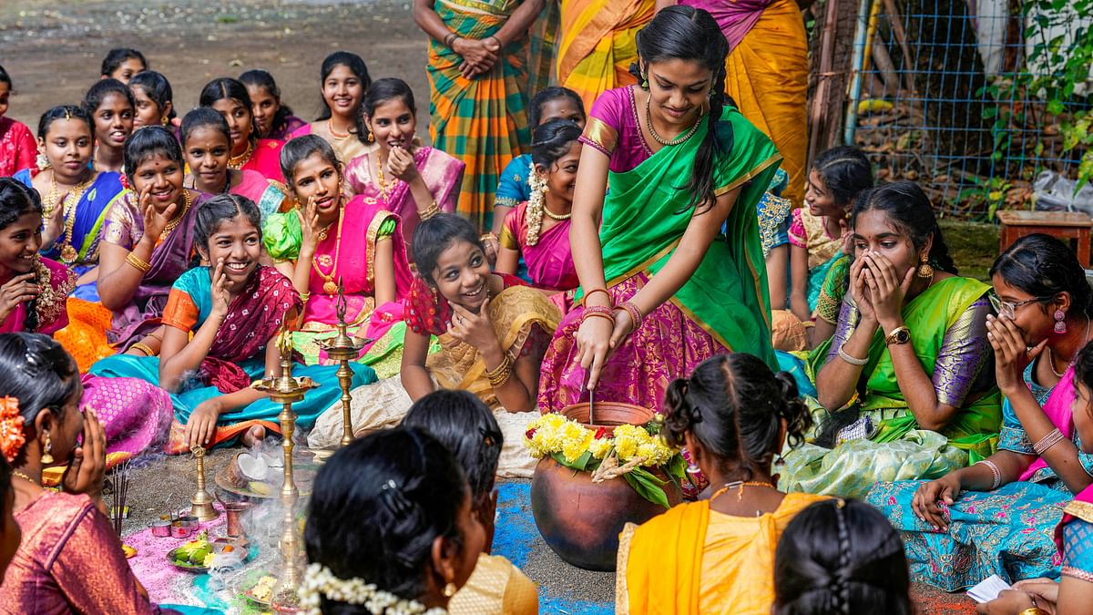 Pongal 2024: Harvest festival celebrated with great fervour