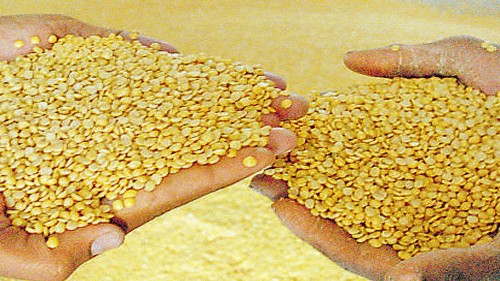 Bharat-branded chana dal emerges as biggest selling brand