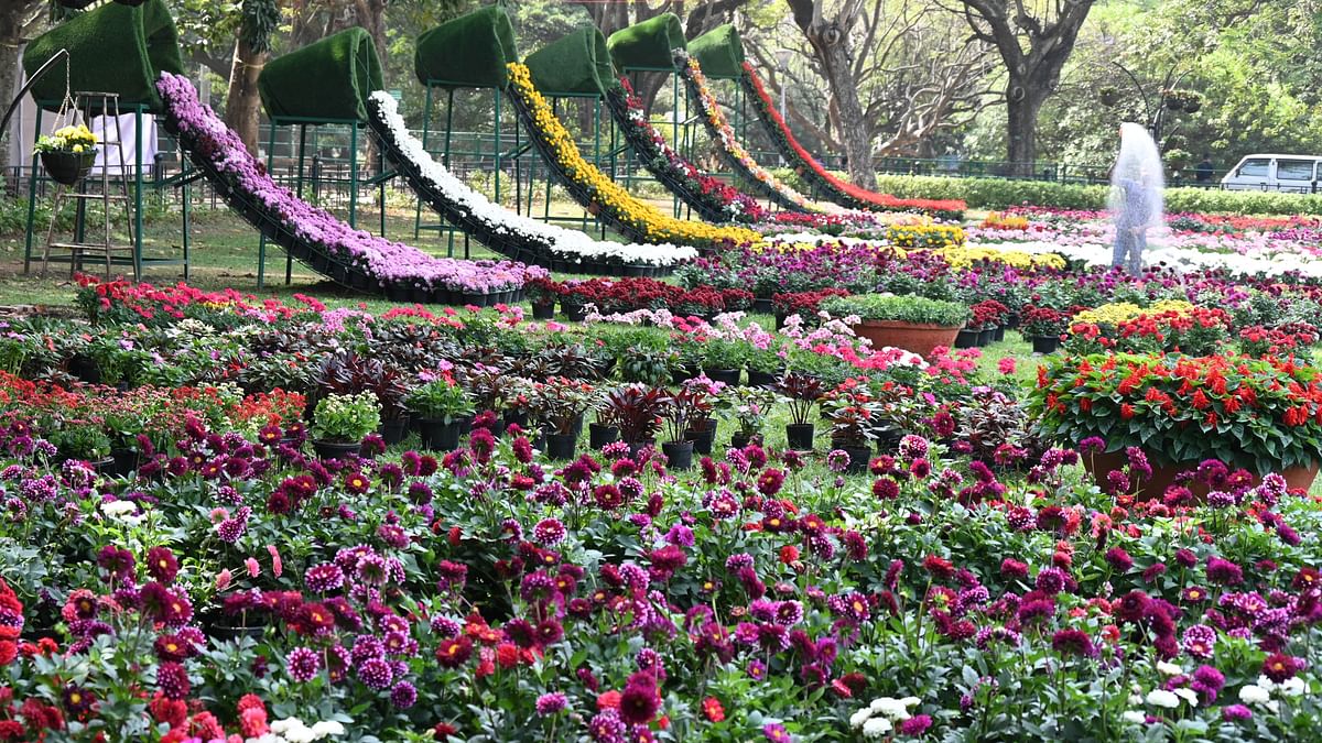 Basavanna theme for Lalbagh flower show