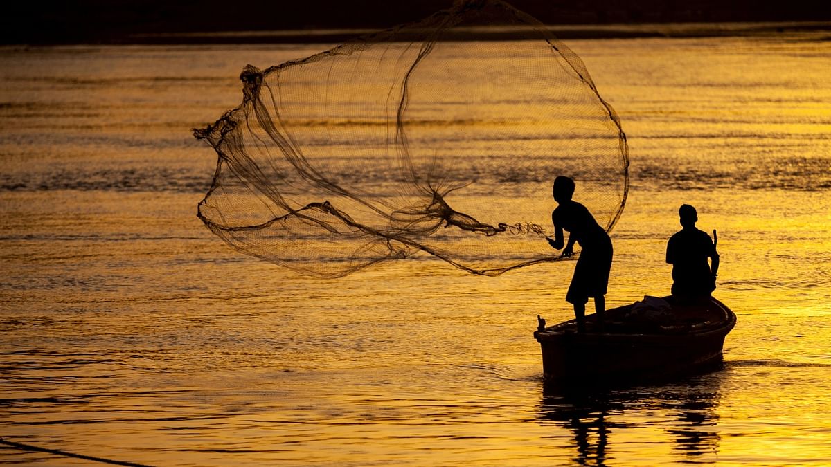 Fishermen in Kerala turn saviours of endangered gentle marine giants