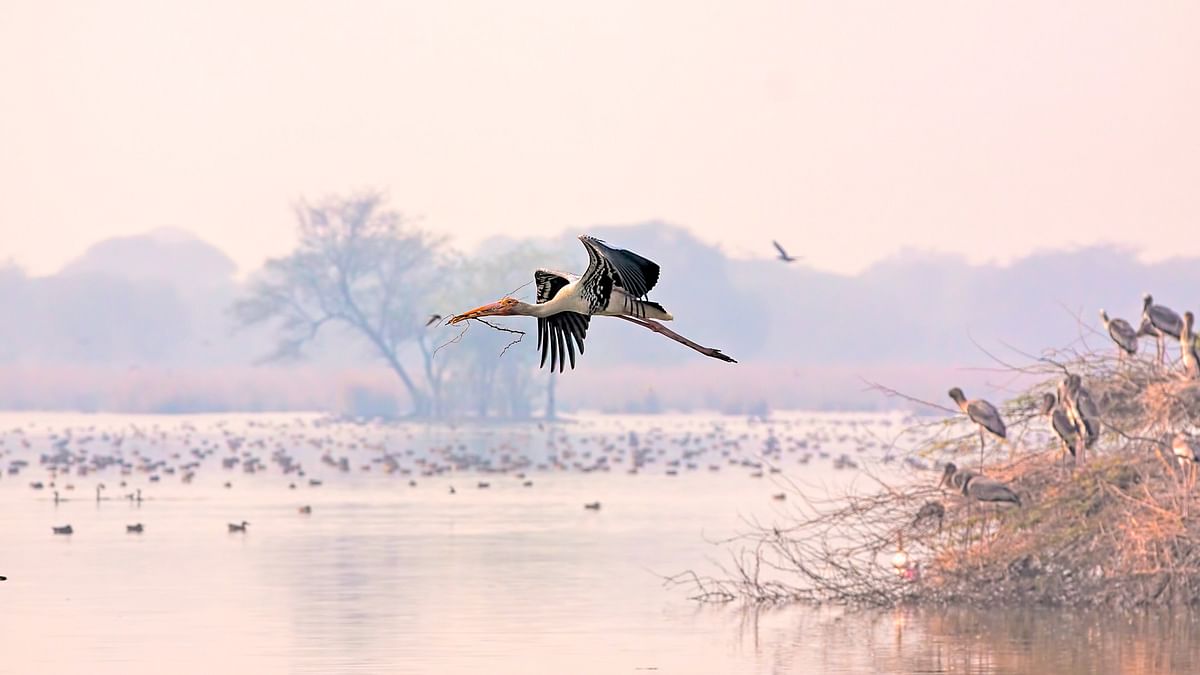 Three new Ramsar sites in Karnataka