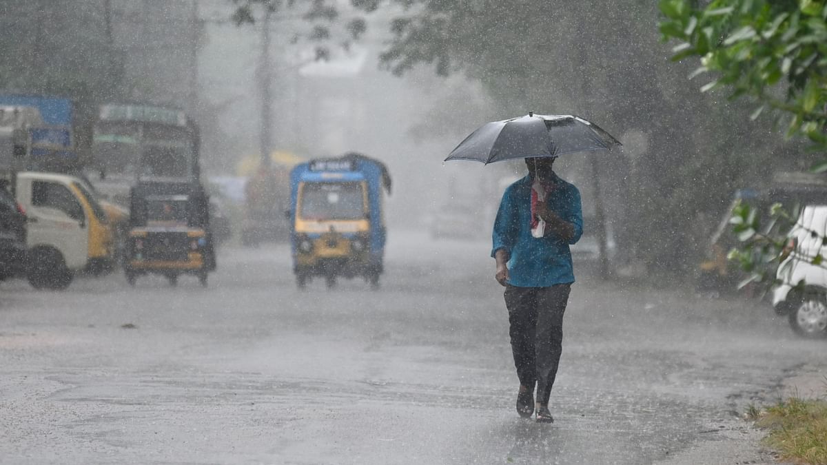 Karnataka's Sullia sees record-breaking rain on a single January day