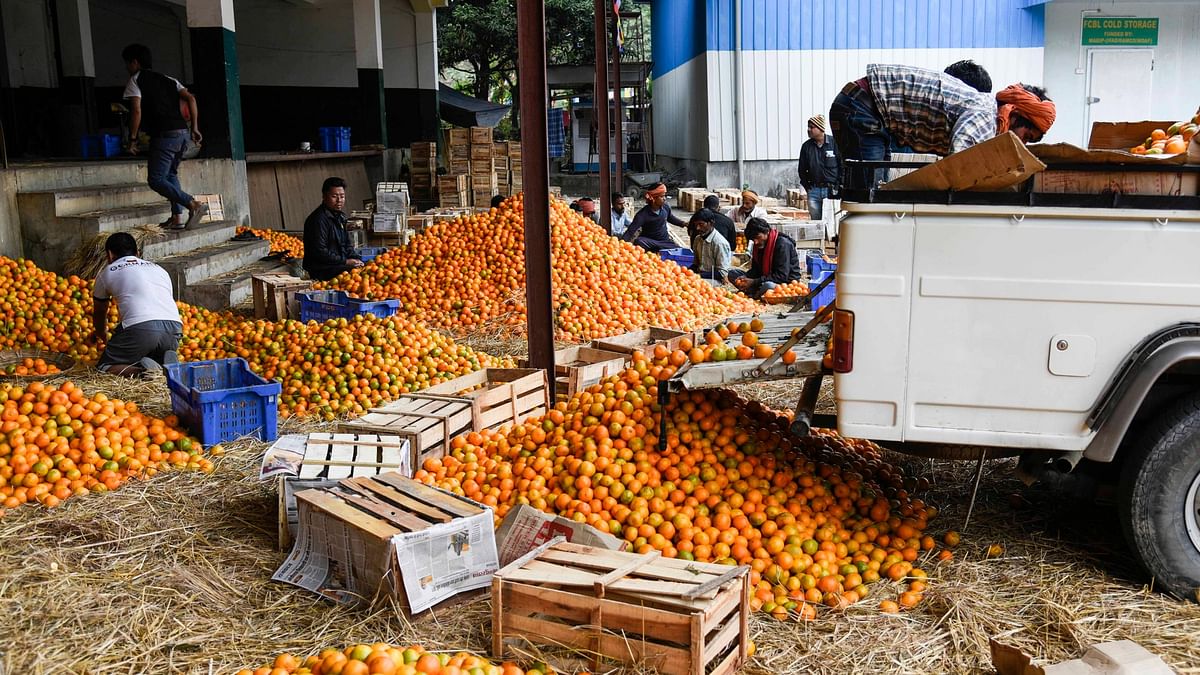 India asks US to permit domestic labs for fruit irradiation to cut trade cost