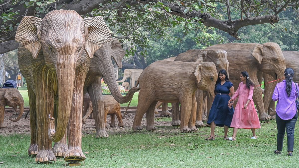 Lal Bagh's lush green canvas comes alive with Lantana elephants