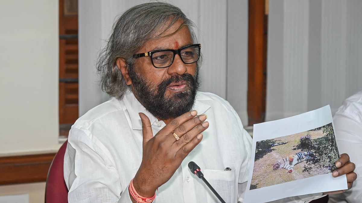 Karnataka forest minister Khandre orders probe into afforestation, civil works