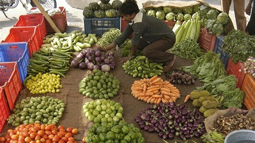 Retail inflation for farm, rural workers eases marginally in January
