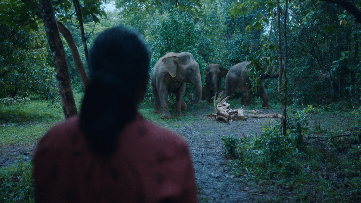 'Poacher' series review: Authentic take on elephant killings
