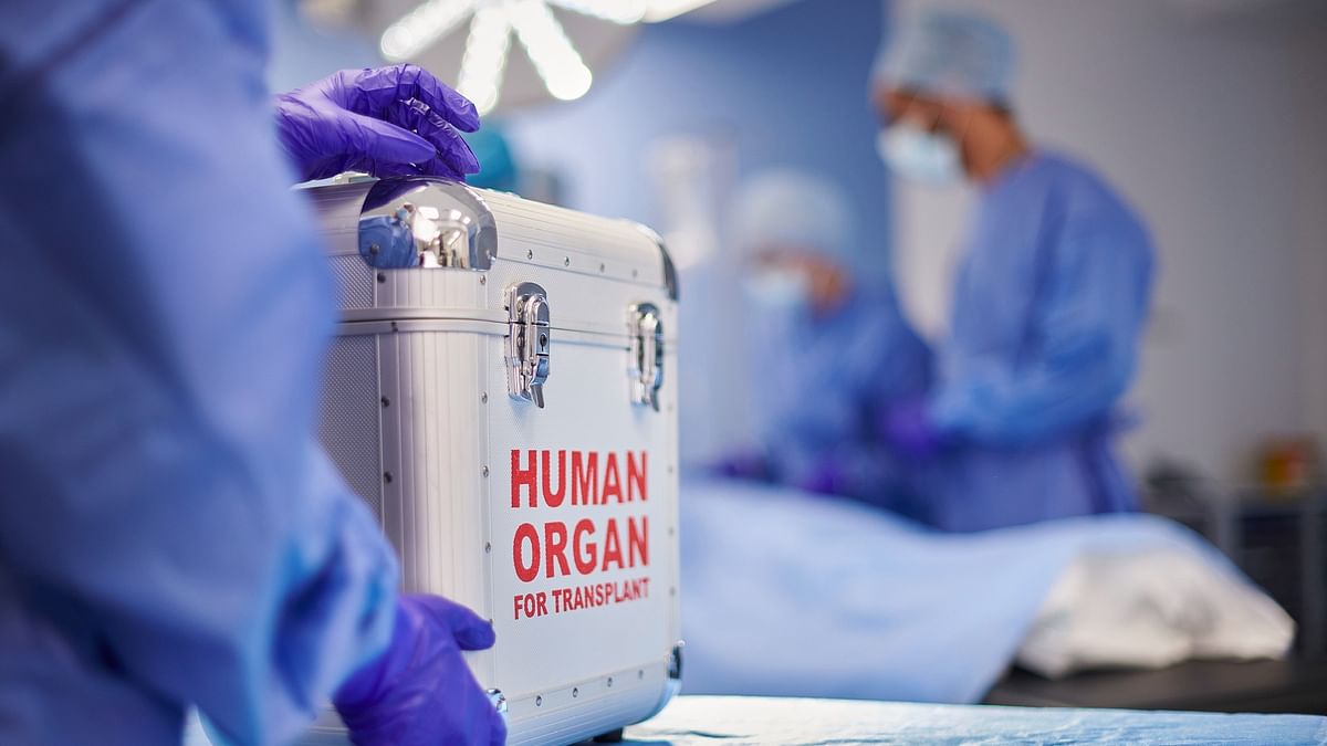 More than 80% of organ transplants between 1995 and 2021 done on men