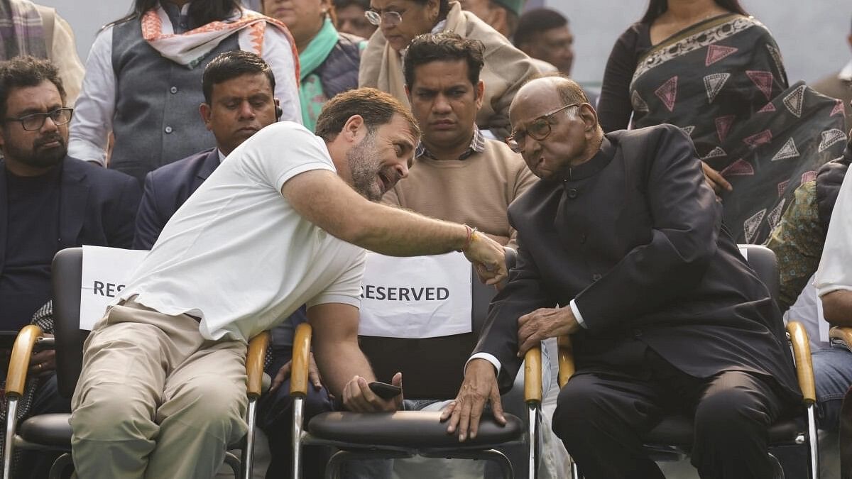 Rahul Gandhi, Sharad Pawar discuss seat-sharing formula in Maharashtra