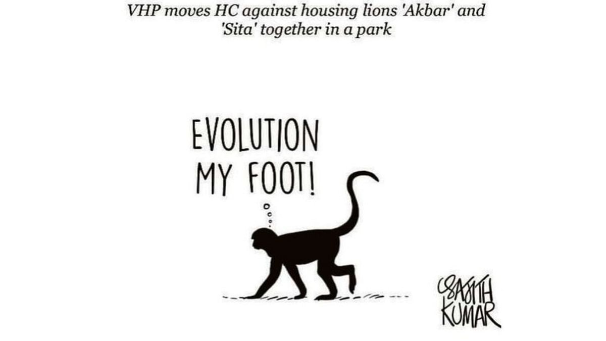 DH Toon | Evolution? My foot!