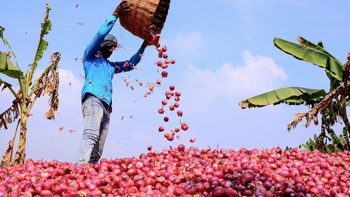 Government allows 54,760 tons of onion exports to Bangladesh, Mauritius, Bahrain, Bhutan