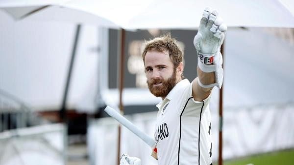 Williamson gets second century as NZ build lead of 528