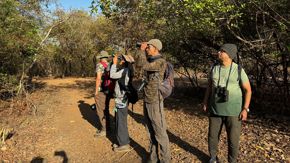 Bombay's Sanjay Gandhi National Park adds two new bird species to family