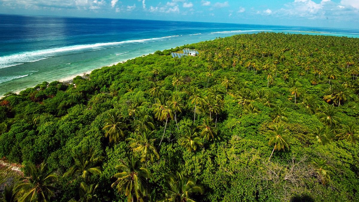 Lakshadweep residents fume as administration continues to number trees on Pandaram lands