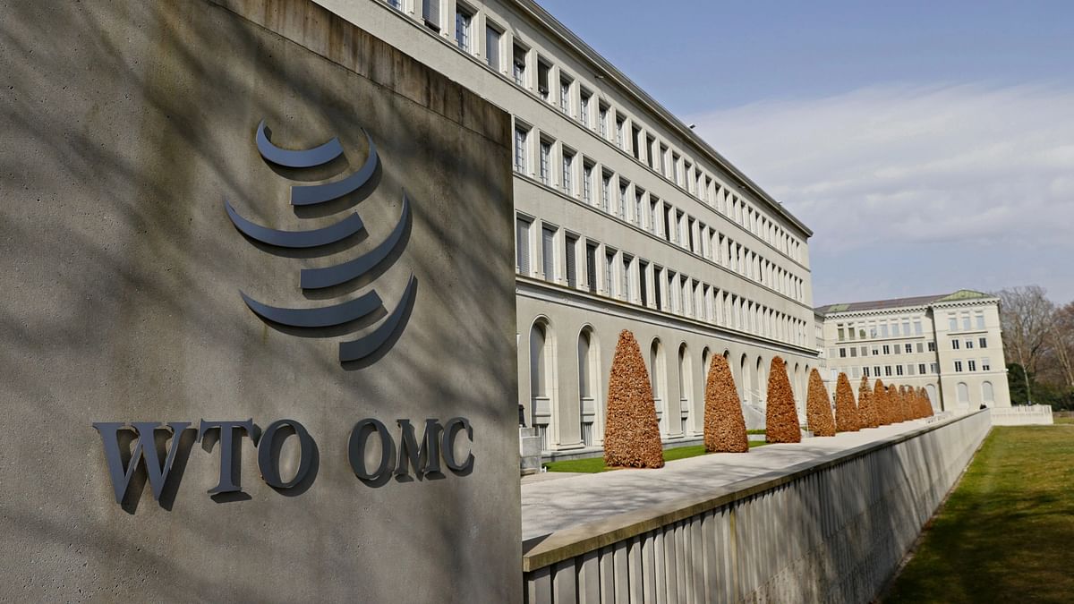 Explained | What's at stake at the WTO's next meeting in Abu Dhabi