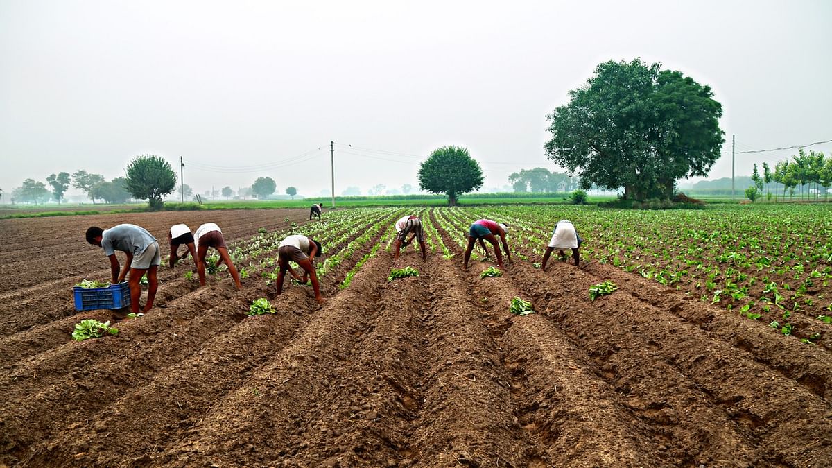 Karnataka legislature panel favours bringing back regulated agri trade