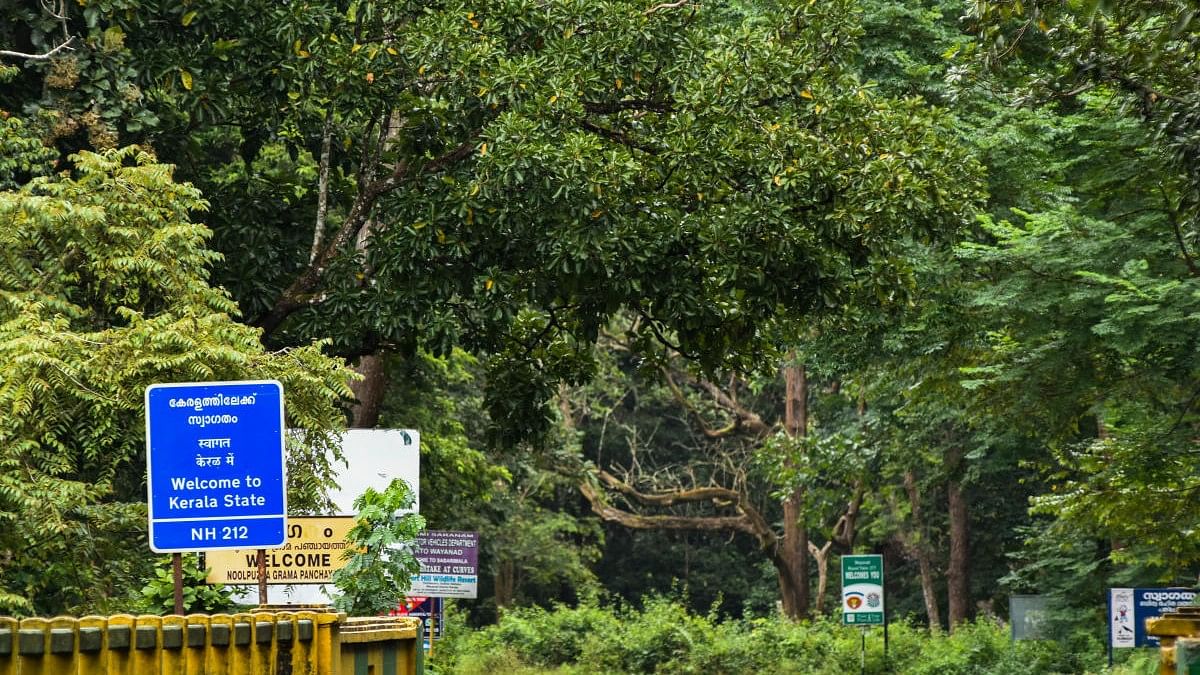 Kerala forest officials allegedly stopped at Karnataka border