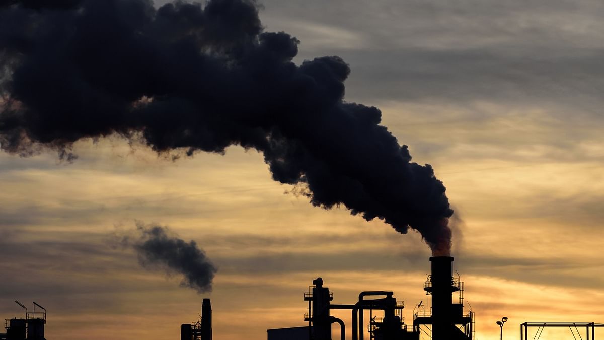 India will not accept unjust carbon emission mandates: DPIIT Secy
