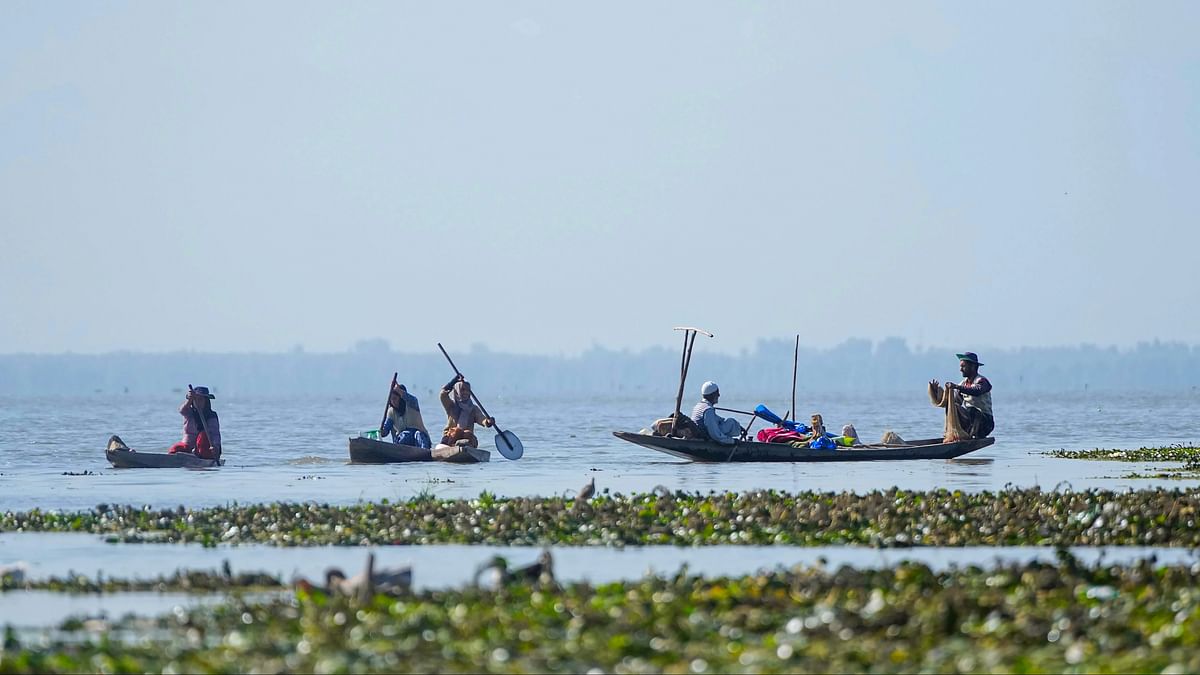 J&K: As Wular Lake fights for survival, livelihood of thousands of fishermen hangs in balance